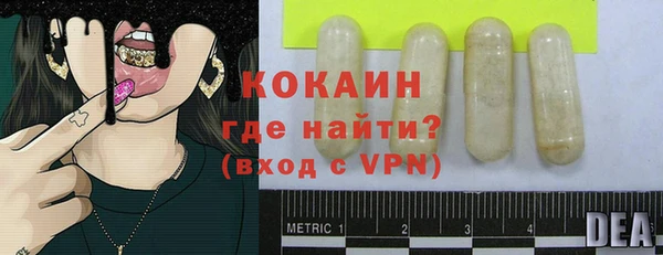 сатива Магас