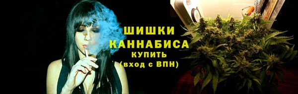 индика Лиски
