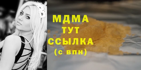 индика Вязники