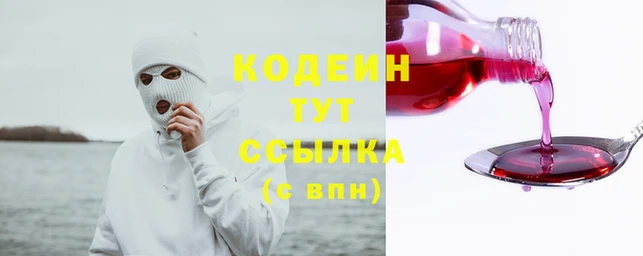 хмурый Липки