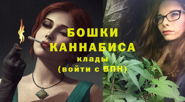 индика Вязники