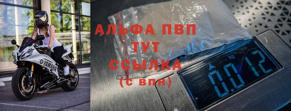 эйфоретик Майский