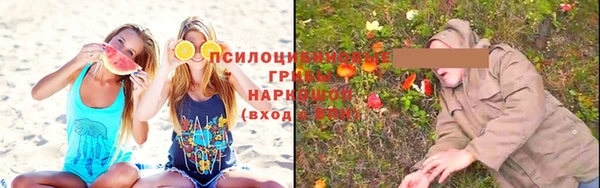 индика Лиски