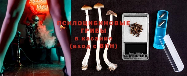 эйфоретик Майский